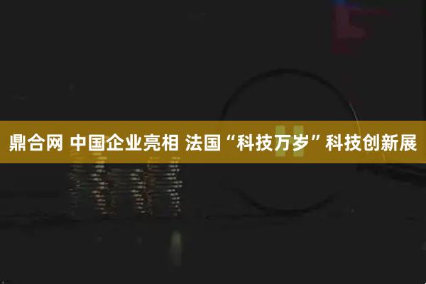 鼎合网 中国企业亮相 法国“科技万岁”科技创新展