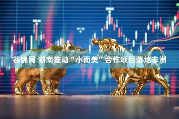 谷锦网 湖南推动“小而美”合作项目落地非洲