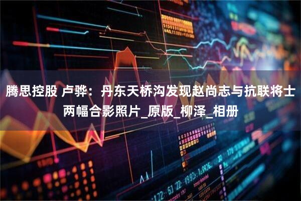 腾思控股 卢骅：丹东天桥沟发现赵尚志与抗联将士两幅合影照片_原版_柳泽_相册