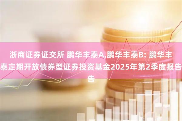 浙商证券证交所 鹏华丰泰A,鹏华丰泰B: 鹏华丰泰定期开放债券型证券投资基金2025年第2季度报告