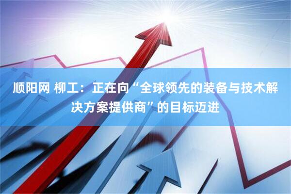 顺阳网 柳工：正在向“全球领先的装备与技术解决方案提供商”的目标迈进