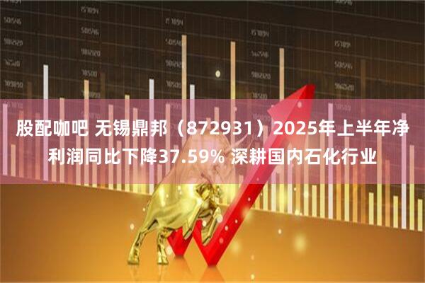 股配咖吧 无锡鼎邦（872931）2025年上半年净利润同比下降37.59% 深耕国内石化行业